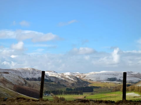 Cambrian Mountains