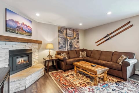 Living room: Sofa bed, Roku TV with cable, gas fireplace, central heat, no A/C