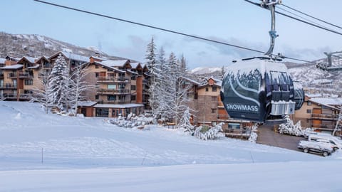 Prime slope side location with ski-in, ski-out access. No shuttles needed - step outside and you're already on the mountain!