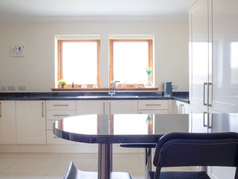 Furniture, Interior Design, Flooring, Wood, Floor, Countertop, Lighting, Cabinetry, Kitchen, Home