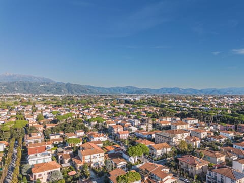 Daytime, Urban Area, Residential Area, City, Horizon, Neighbourhood, Bird'S-Eye View, Town, Metropolitan Area, Landscape