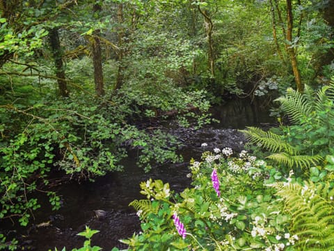 Outdoor | Townwood House, Tiverton