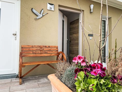 Door, Flowerpot, Floor, Furniture, Home Door, Chair, Houseplant, Wood Stain, Outdoor Furniture, Hardwood