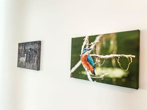 Wall, Facade, Home, Door, Cottage, Estate, Stone Wall, Sash Window, Villa, Farmhouse