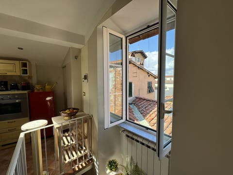 Wall, Apartment, Home, Wood Stain, Hardwood, Paint, Daylighting, Houseplant, Balcony, Aluminium