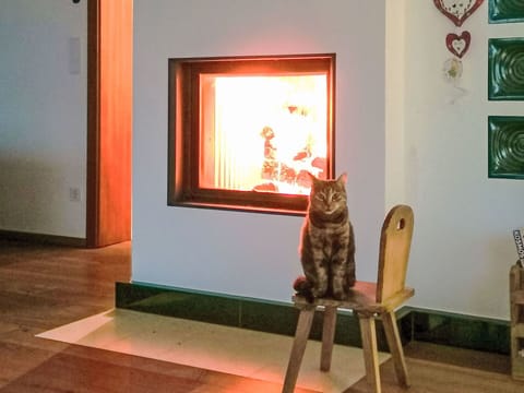 Hearth, Picture Frame, Hardwood, Living Room, Fireplace
