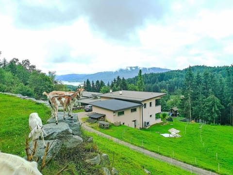 Grass, Landscape, Rural Area, Grassland, Hill Station, Pasture, Meadow, Cottage, Mountain Range, Valley