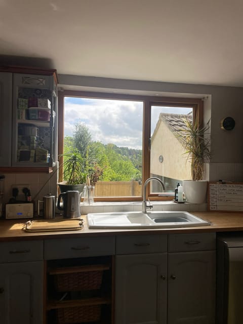 View from kitchen window, over the valley to the Common.