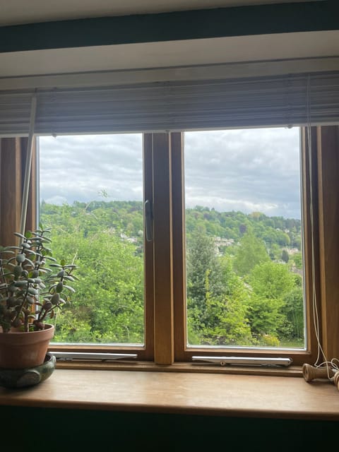 View from master bedroom window, towards Amberley.