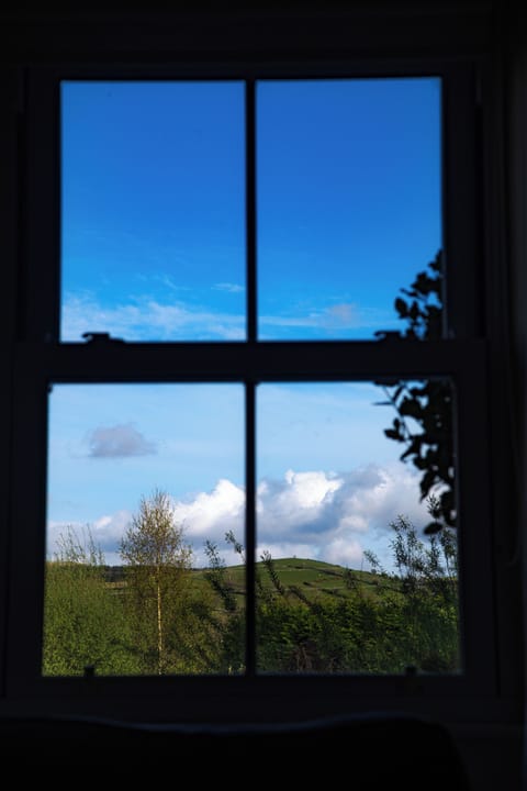 View from the living room