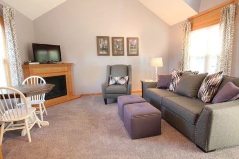 Living room/ Fireplace