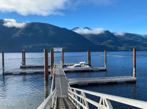 a view from the marina