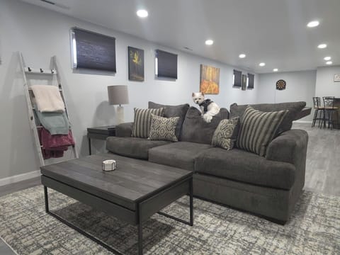 Basement living room with Queen pull out bed