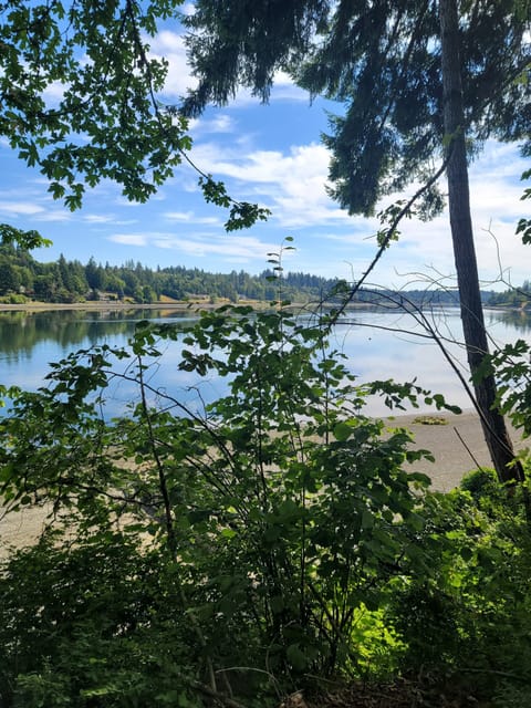 Walker Park Water View