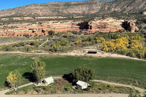 4763a9f9-7d50-4fa1-ab04-ac1b2c89bf6d