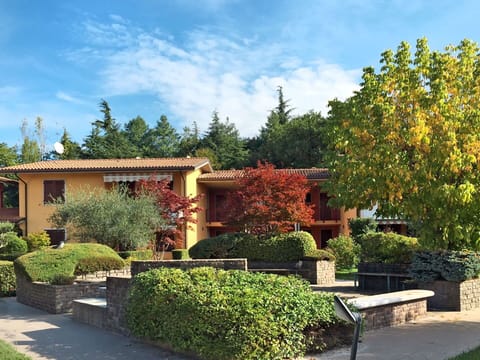 Leaf, Shrub, Garden, Residential Area, House, Home, Groundcover, Hedge, Spring