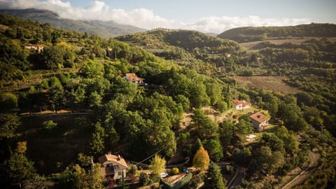 Nature, Tree, Natural Environment, Leaf, Mountainous Landforms, Vegetation, Natural Landscape, Landscape, Hill, Highland