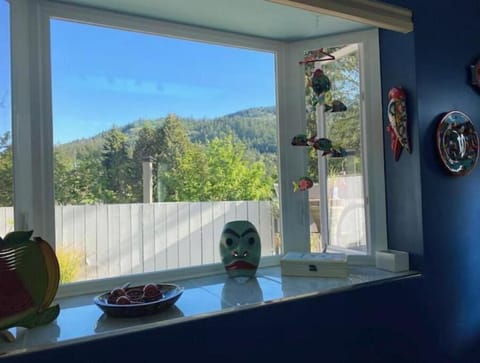 Kitchen Bay window
