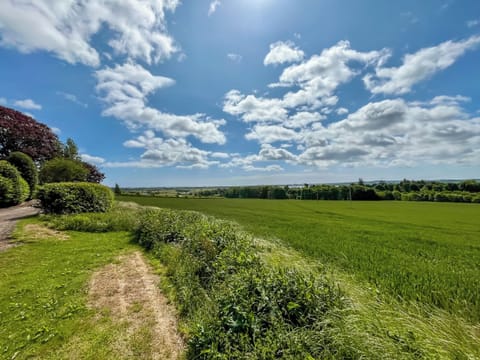 Surrounding area | Jasmine Cottage, Montrose