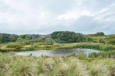 Region [summer] (&gt;5 km)