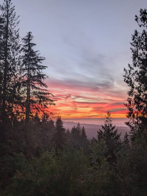 beautiful sunsets from the deck. A guest shared this picture