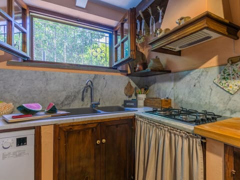 Kitchen, Wood, Countertop, Interior Design, Major Appliance, Kitchen Sink, Kitchen Appliance, Flooring, Kitchen Stove, Room