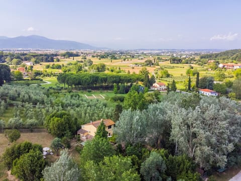 Vegetation, Natural Landscape, Landscape, Land Lot, Plain, Rural Area, Meadow, Hill Station, Suburb, Field