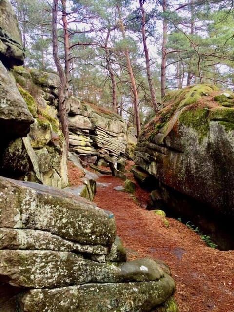 304e5449 070b 4b4a a51f c8cf55fcd586