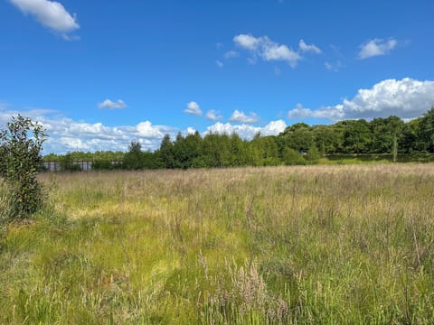 Immediate Surroundings [summer] (<1 km)