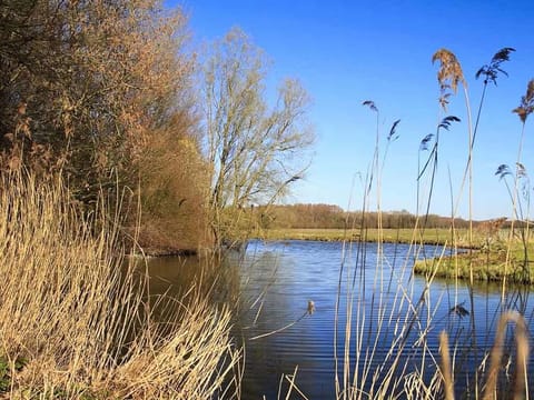 National Park De Biesbosch