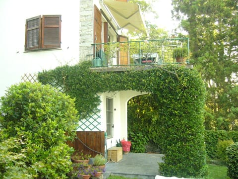 Patio under the terrace