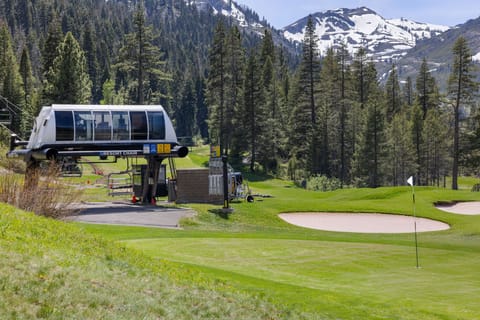 Resort Chair and Golf.