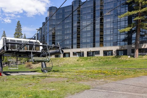 Resort Chair with Everline Resort