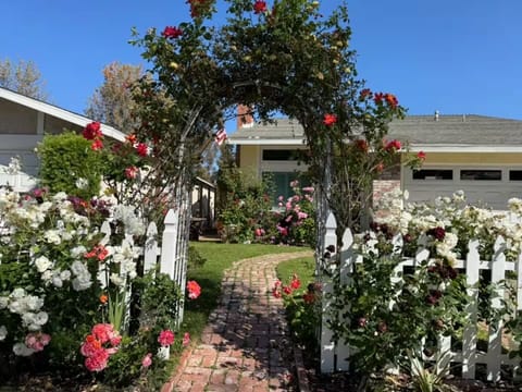 Blooming rose arch, garden path—peaceful Mission Viejo escape.