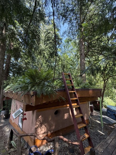 Living roof shot from upper dining deck