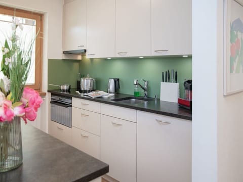 Countertop, Kitchen, Kitchen Appliance, Furniture, Interior Design, Cabinetry, Flooring, Wood, Major Appliance, Kitchen Sink