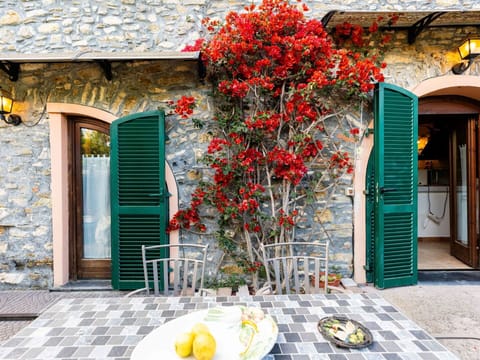 Furniture, Table, Outdoor Table, Outdoor Furniture, Chair, Garden, Shade, Flowerpot, Landscaping, Kitchen & Dining Room Table