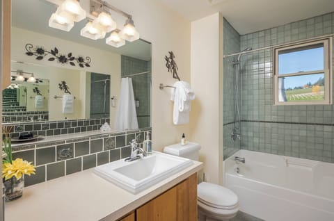 Downstairs bathroom with shower tub combination.