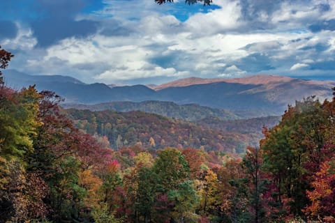 Immerse yourself in vibrant fall colors and breathtaking mountain vistas!