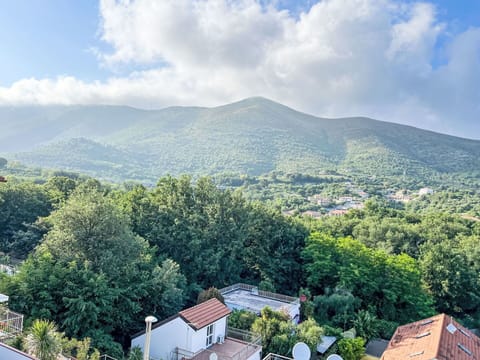 Furniture, Flooring, Interior Design, Wood, Kitchen & Dining Room Table, Floor, Chair, Table, Dining Room, Ceiling