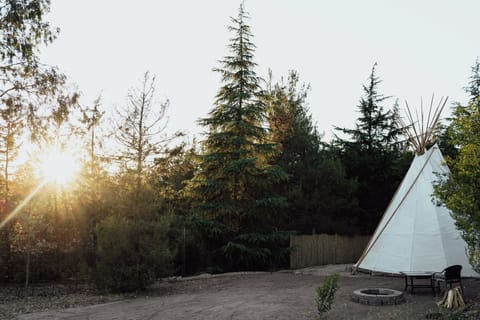 Fire pit and outdoor furniture