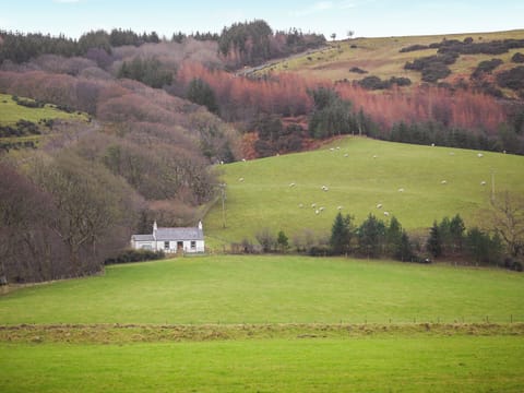 Setting | Professors Cottage, Girvan