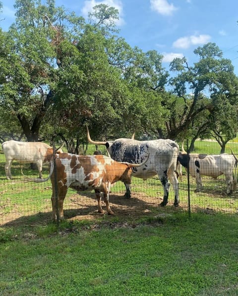 Neighbors a block away