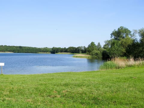 Furniture, Cabinetry, Interior Design, Wood, Countertop, Kitchen, Flooring, Kitchen Appliance, Drawer, Lighting