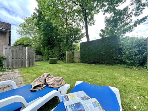 Shrub, Garden, Lawn, Backyard, Shade, Landscaping, Yard, Park, Evergreen