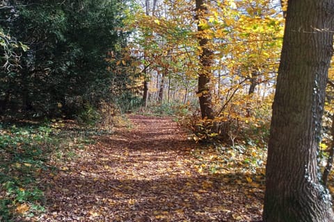 Surroundings [summer] (1-5 km)