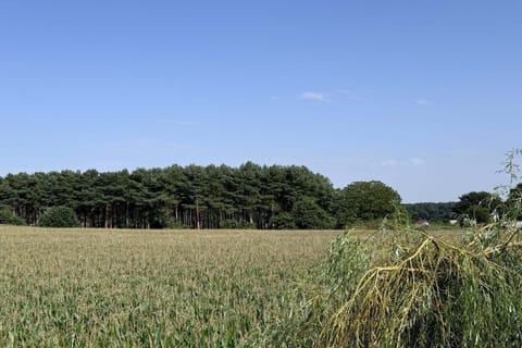 Immediate Surroundings [summer] (&lt;1 km)