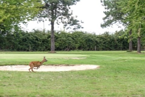 Surroundings [summer] (1-5 km)