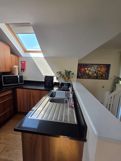 Washing up and cleaning station with double sink