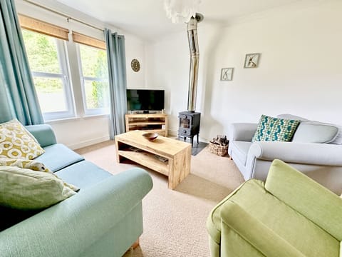 Living room with wood burner